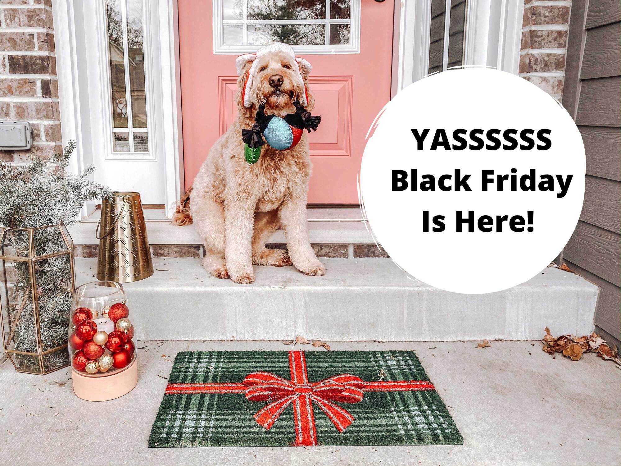 🎄30 OFF ENTIRE SITE. Black Friday Is HERE!🎁 ️