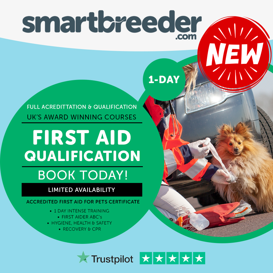 smartbireeder UK'S AWARD WINNING COURSES LIMITED AVAILABILITY ACCREDITED FIRST AID FOR PETS CERTIFICATE 1 DAY INTENSE TRAINING FIRST AIDER ABC's HYGIENE, HEALTH SAFETY RECOVERY CPR Trustpilot 