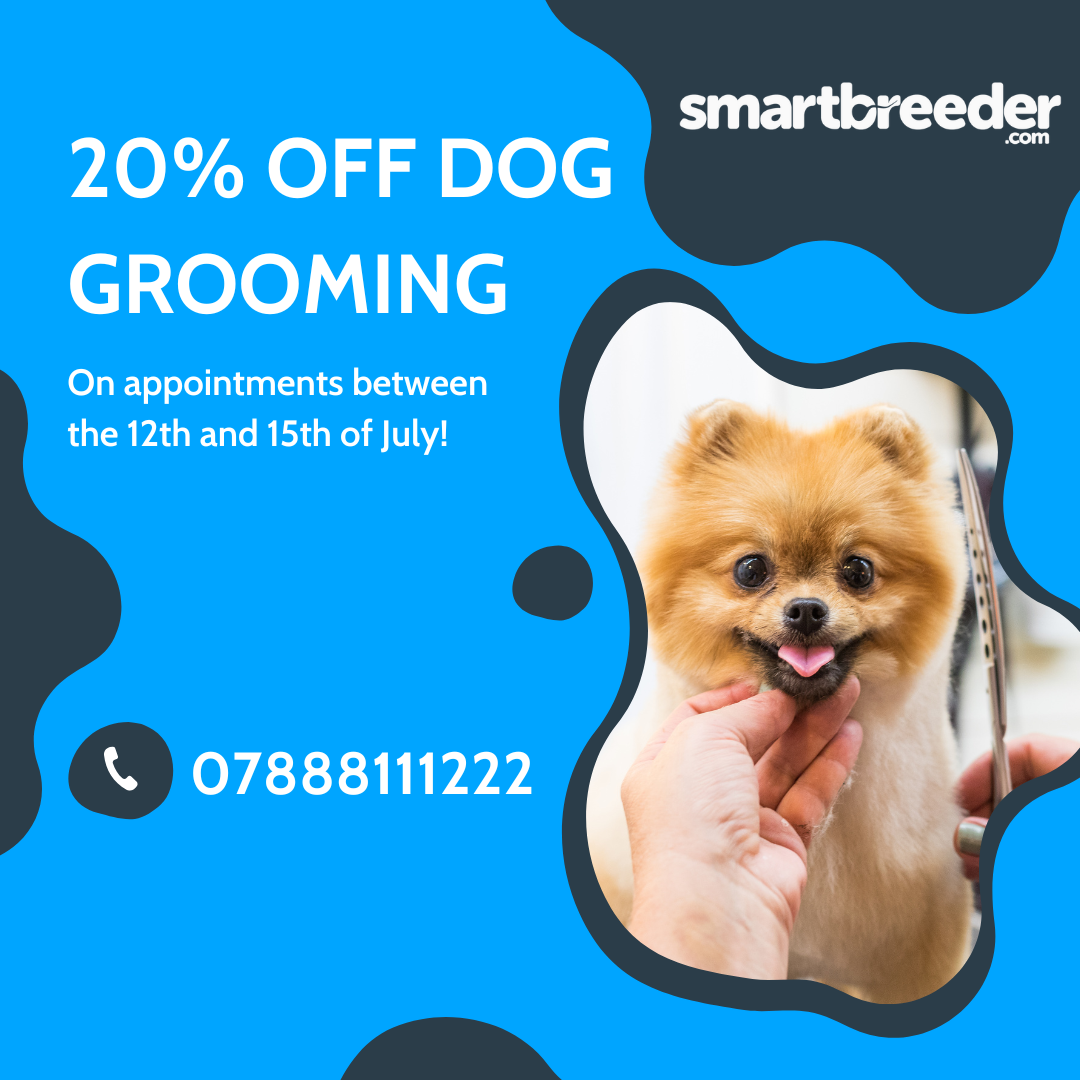  20% OFF DOG GROOMING On appointments between the 12th and 15th of July! 07888111222 